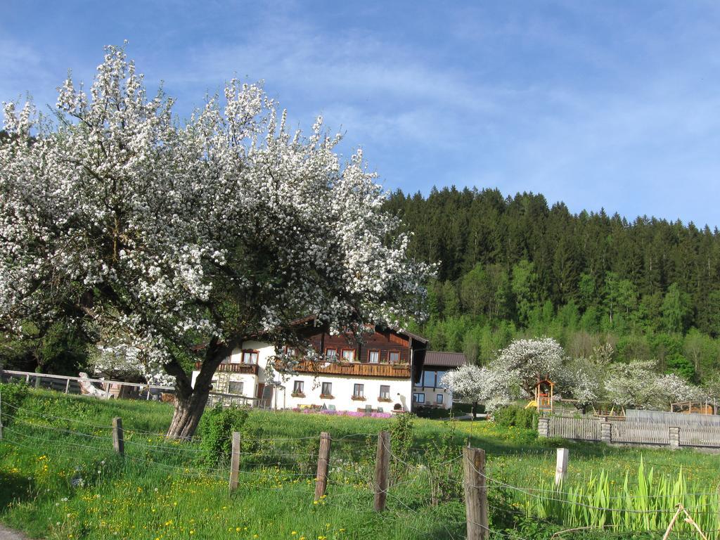 Bauernhofurlaub Sinnhubgut التنماركت ام بوناغ المظهر الخارجي الصورة